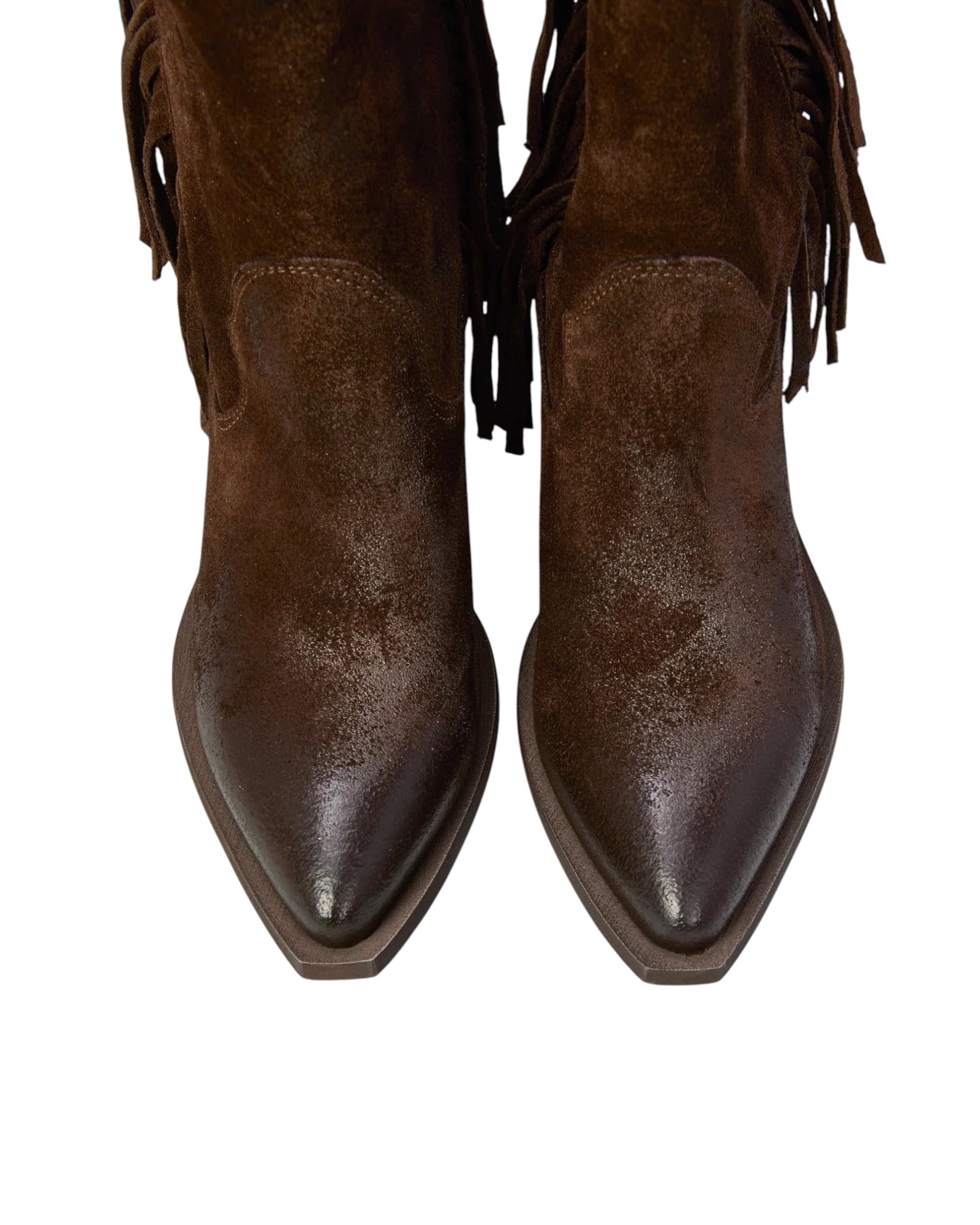 OVYÈ TEXANI FRANGE CAMOSCIO MORO