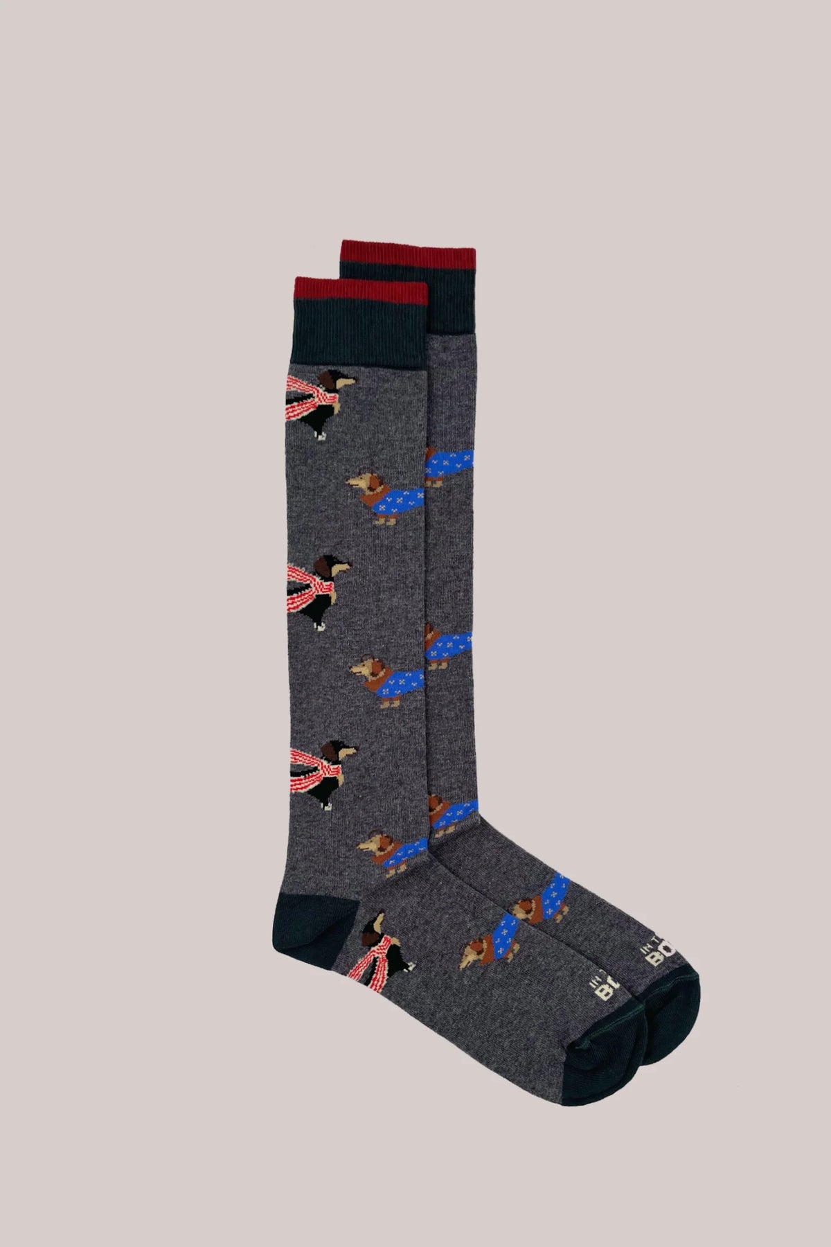 IN THE BOX CALZE BASSOTTO SHORT