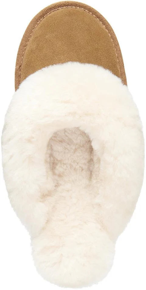WMU AUSTRALIA Pantofole donna chestnut con fodera e plantare in lana di pecora
